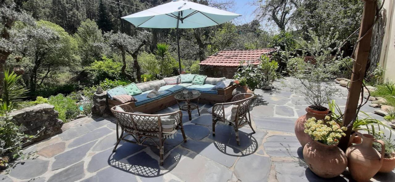 Casa Ribeira Apartment Coentral Das Barreiras Luaran gambar